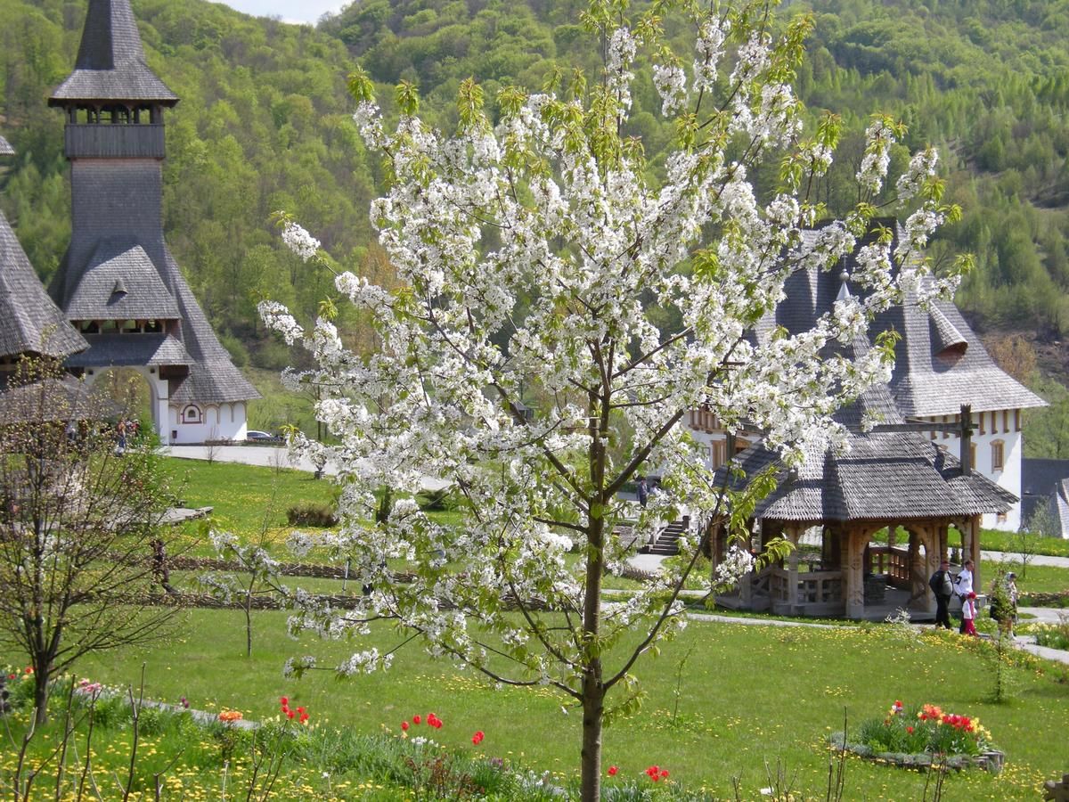 Гостевой дом Cabana Iza Bîrsana