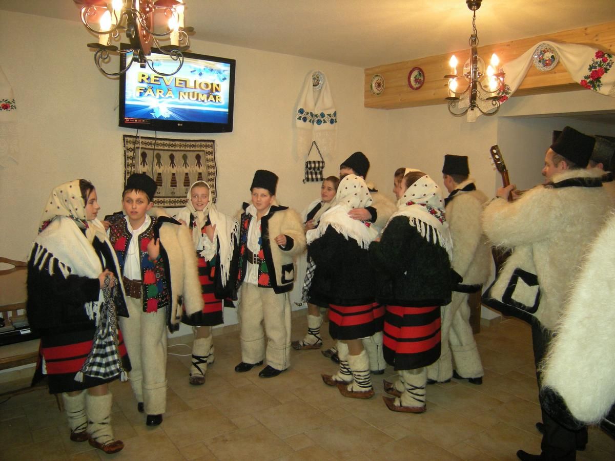 Гостевой дом Cabana Iza Bîrsana